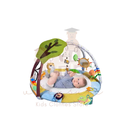 Baby Toys & Accessories